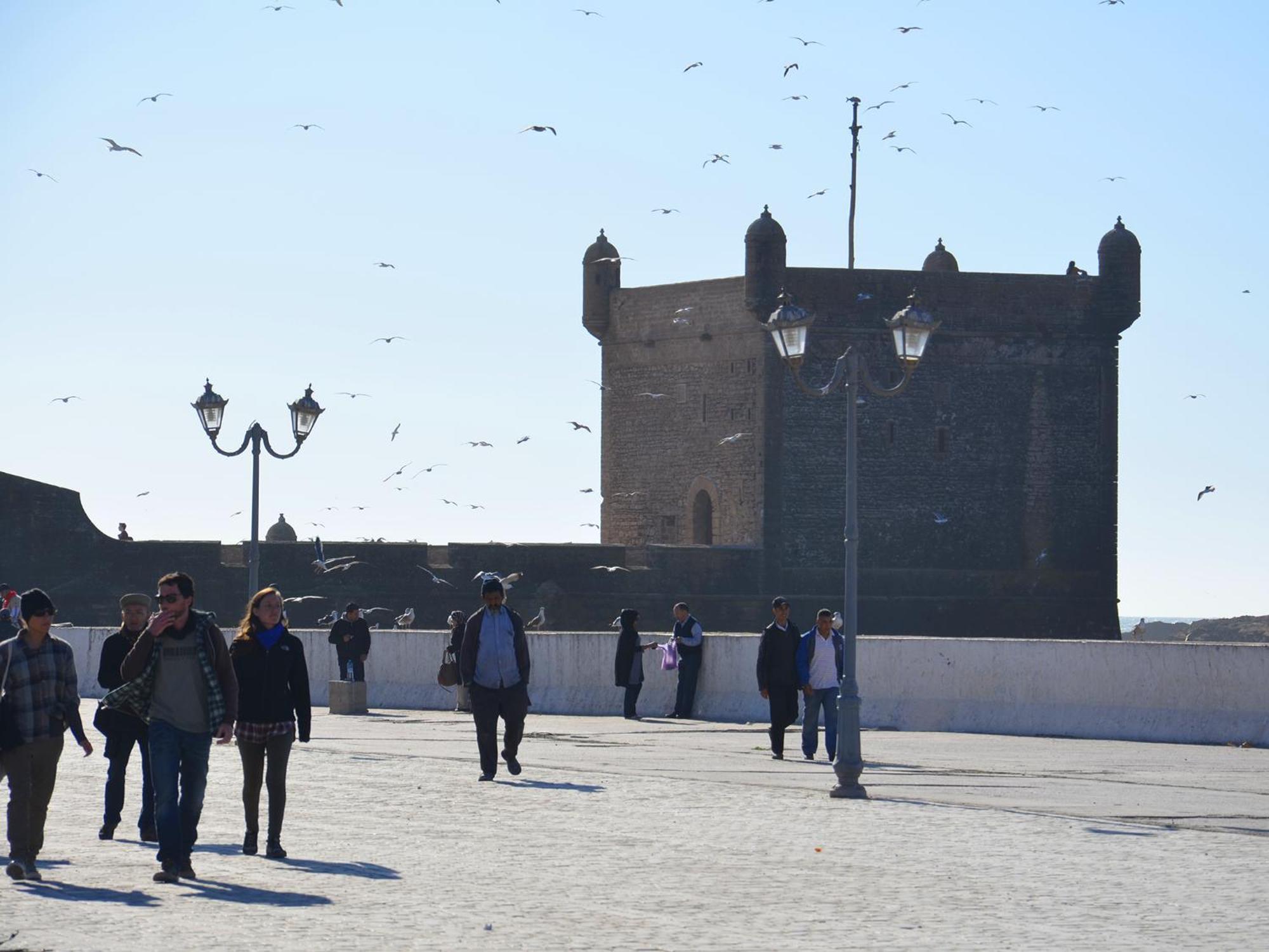 Tweets Hotel Essaouira Eksteriør billede